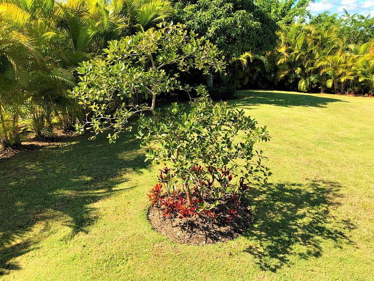 Villa Amila - Luxury Villa in Jarabacoa for 18 people