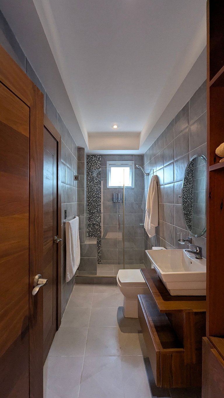 Investment Opportunity in Three-Level Penthouse in Santiago