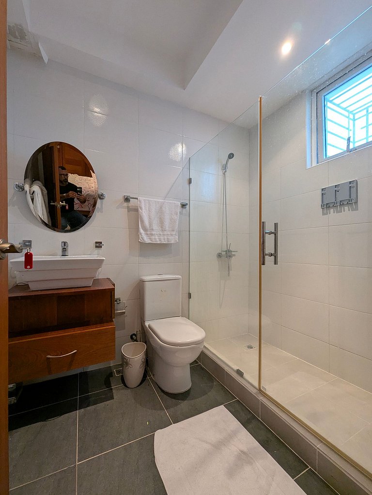 Investment Opportunity in Three-Level Penthouse in Santiago