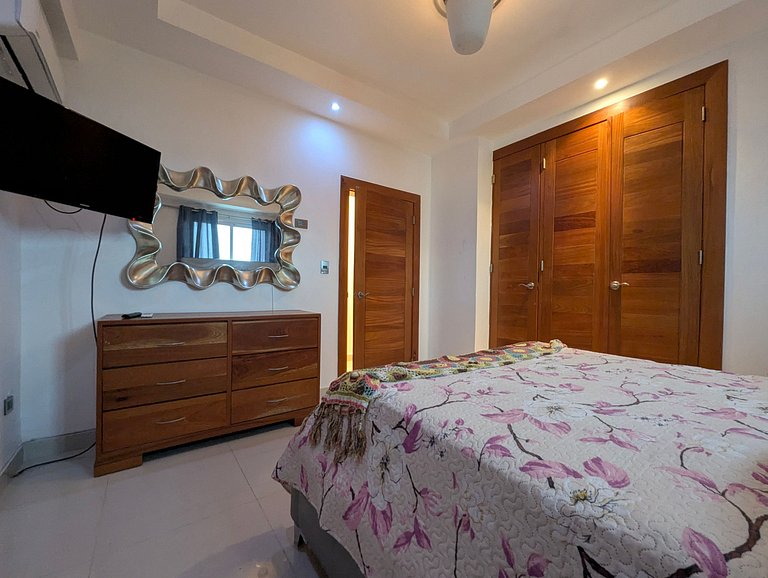 Investment Opportunity in Three-Level Penthouse in Santiago